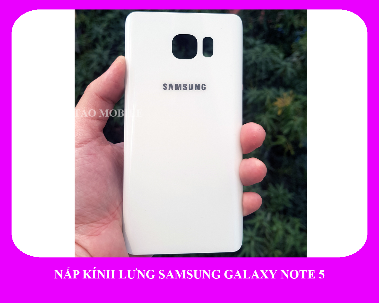 Nắp kính lưng Samsung Galaxy Note 5 zin công ty N920