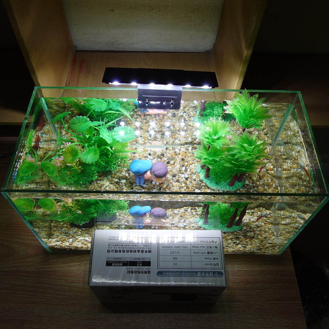 Đèn led thủy sinh Jeneca X3, đèn led 5W cho bể cá mini
