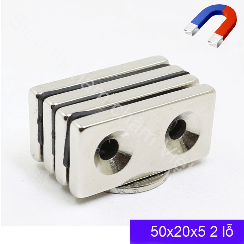 Nam châm đất hiếm có 2 lỗ bắt vít 50x20x5mm nam châm siêu hit hot