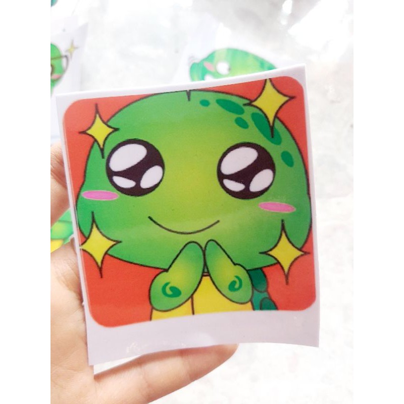 Combo 1 Tem Decal Rùa Cute Dán Xe, Nón Giá Rẻ