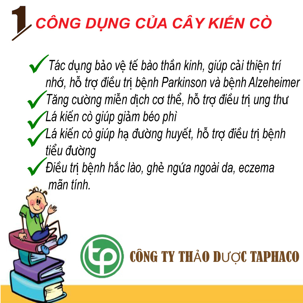 [HOT] Cây kiến cò sấy khô 500g - Hàng sạch thơm cao cấp - Thảo Dược Tấn Phát