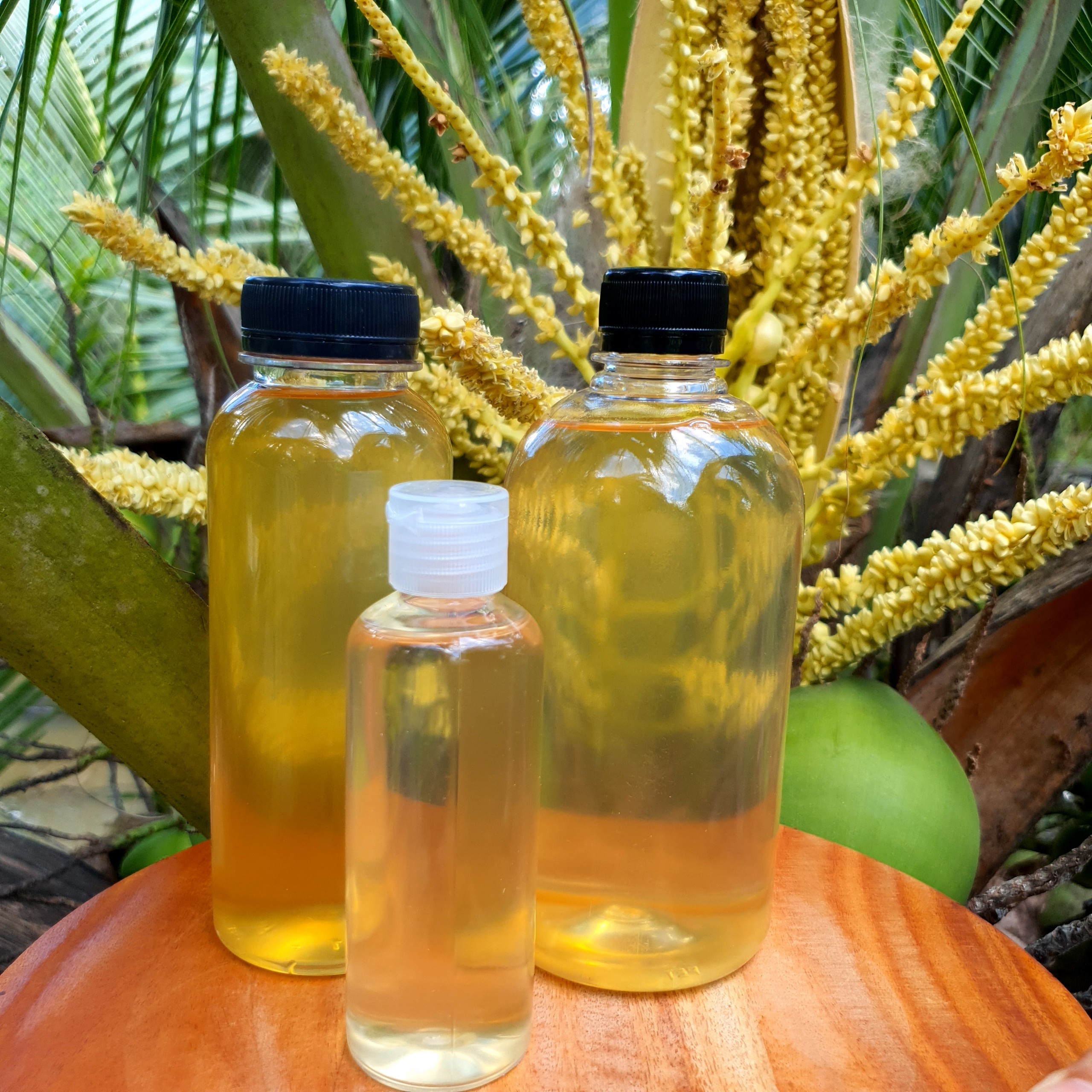 [Bến tre] Dầu Dừa Nấu Thủ Công Nhà Làm Chai 500ml