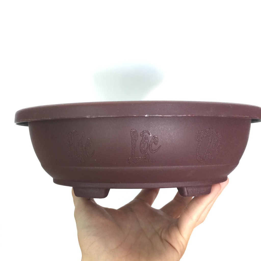 (Combo 3 chậu) Chậu bonsai 30 trồng cây bonsai, chậu nhựa dày bền (Vườn Sài Gòn - Vuon Sai Gon)