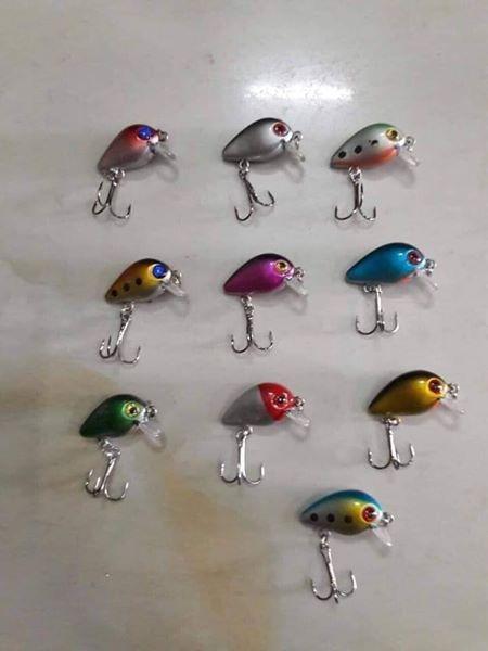 MỒI RUỒI siêu nhạy cá - mồi giả ( Ngu Long )