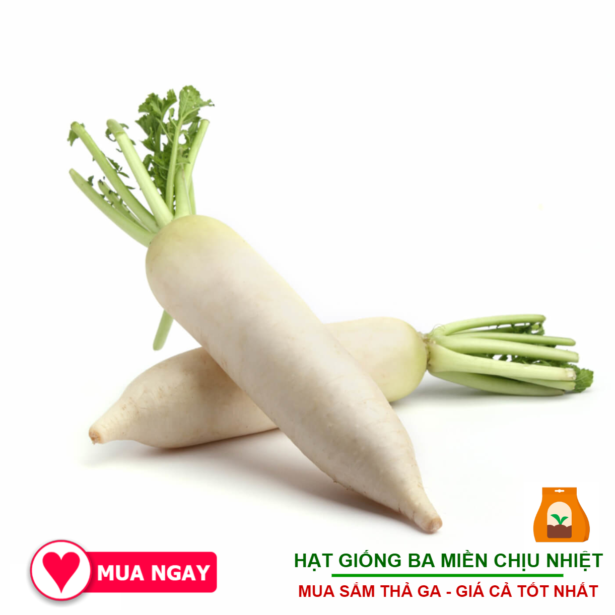 Hạt Giống Củ Cải Trắng 50 Gram