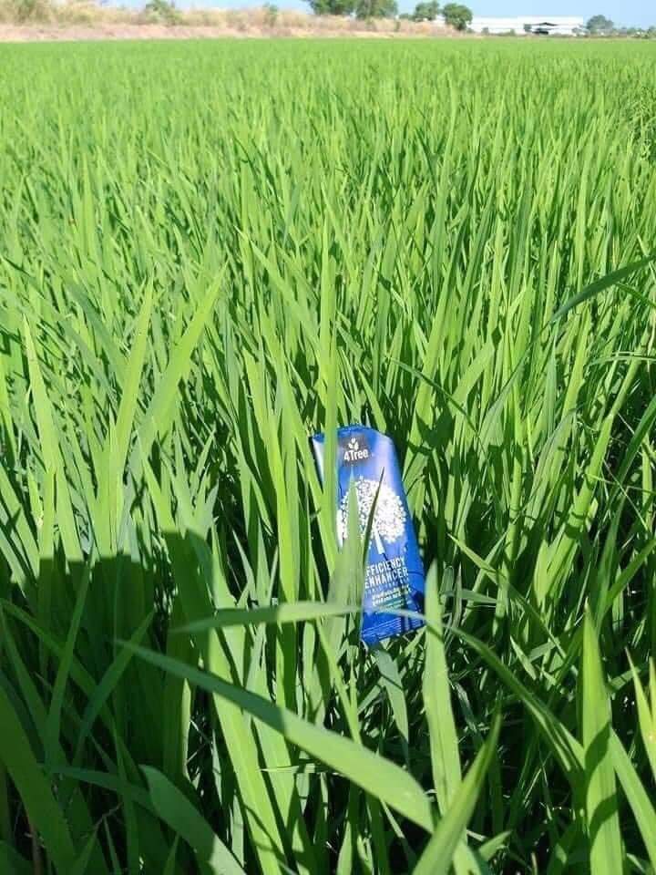 1 gói phân bón hữu cơ 4 tree