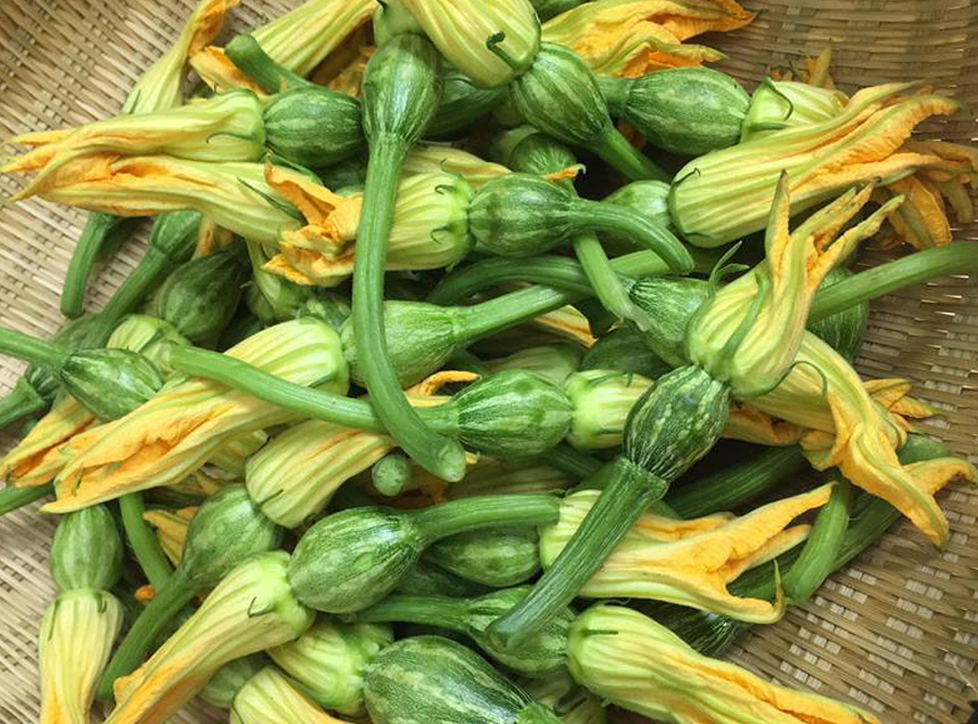 Gói 1g hạt giống Bí Siêu Nụ