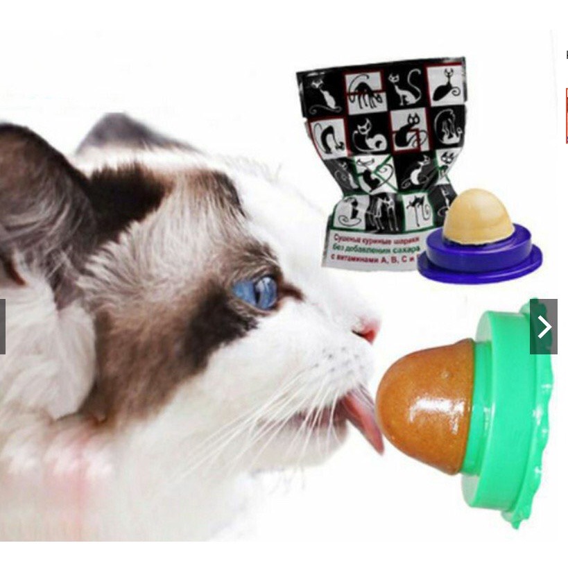 KẸO MÚT DÁN TƯỜNG / KẸO CỎ MÈO CATNIP