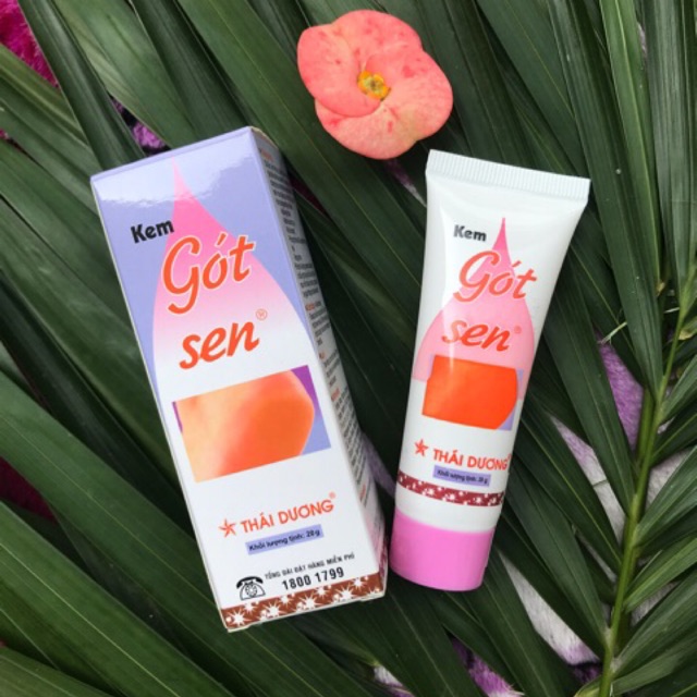 Kem Gót Sen - Giữ Ẩm Da Khô Nứt Nẻ P032