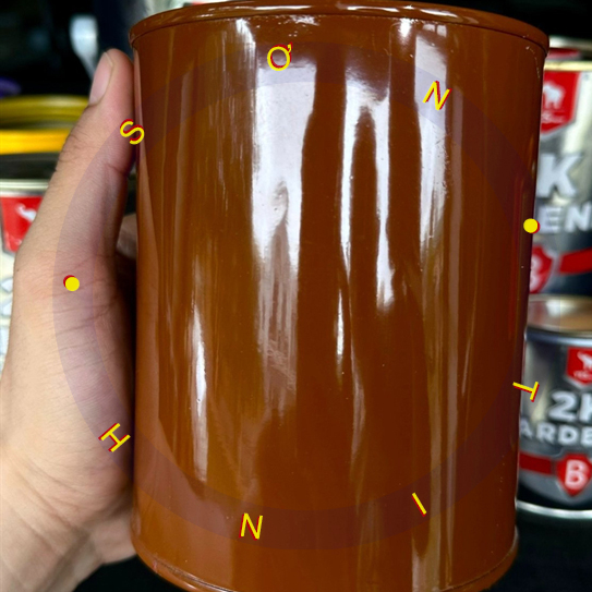 Sơn sắt mạ kẽm Epoxy Dolphin 2k (2 thành phần nhiều màu ) 1kg