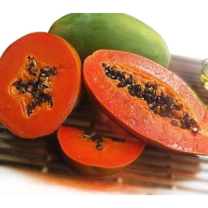 Cây đu đủ lùn ruột đỏ Đài loan