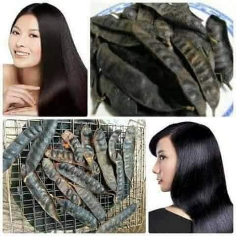 DẦU GỘI BỒ KẾT TRẦN MAO