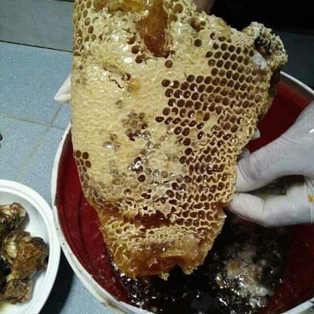 1 lít Mật ong hoa rừng hảo hạng