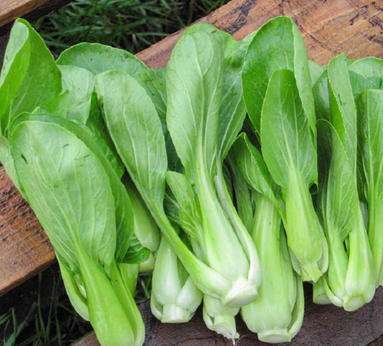 HẠT GIỐNG CẢI THÌA CAO SẢN gói 20gram