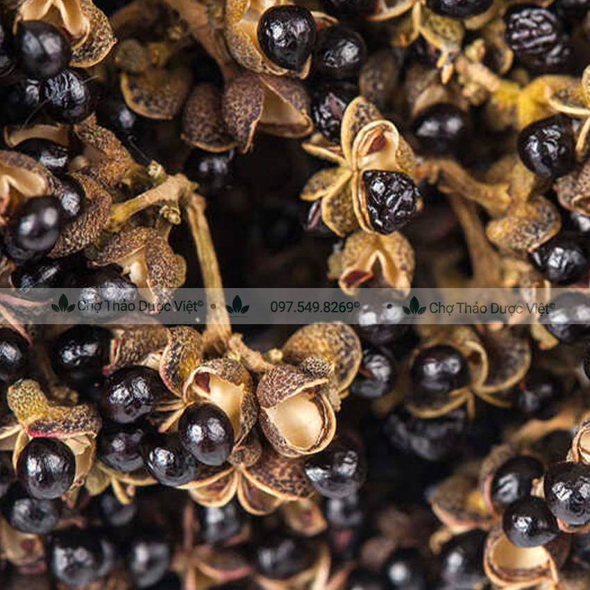 Hạt mắc khén khô 500g, mắc kén rừng, gia vị làm chẩm chéo, ướp thịt thơm ngon, đặc sản Tây Bắc