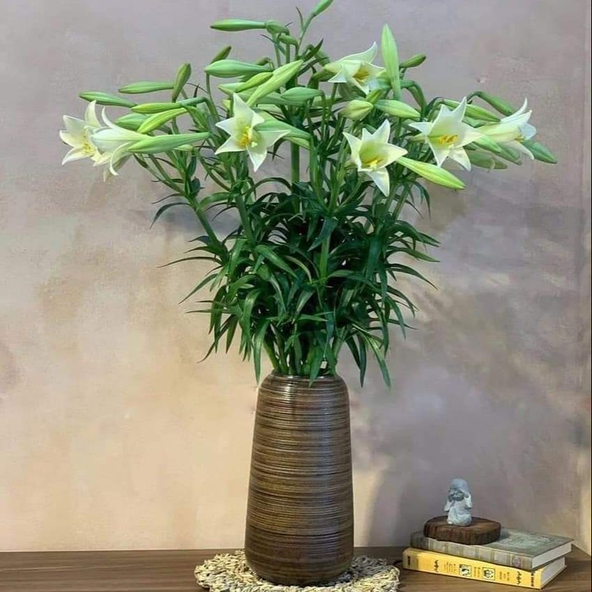 Nơi Bán Bình Cắm Hoa Gía Rẻ Uy Tín Tại Tphcm Gốm Sứ Fulo
