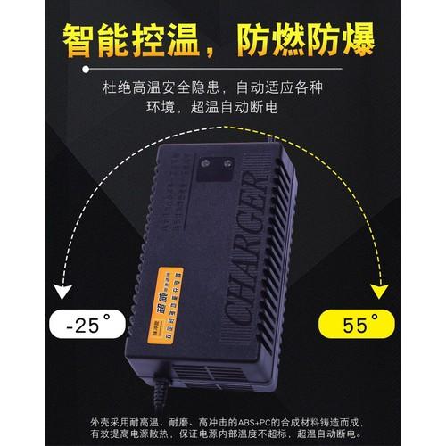 Sạc xe đạp điện 48V 20Ah - 20Ah