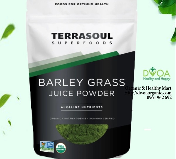 Bột nước ép cỏ lúa mạch Barley grass hữu cơ Terrasoul