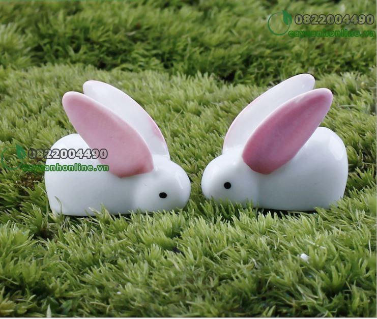 Đôi Thỏ Trắng tai to Phụ kiện tiểu cảnh giá rẻ