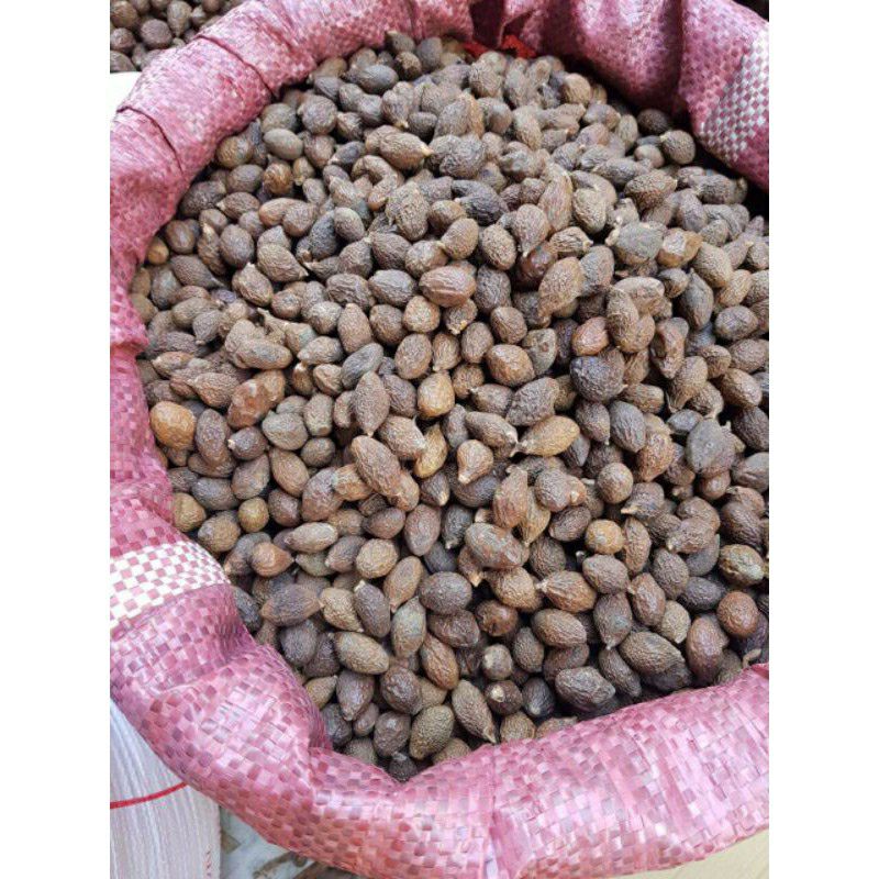 [HCM] Hạt Ươi Bay- loại to - 100gr