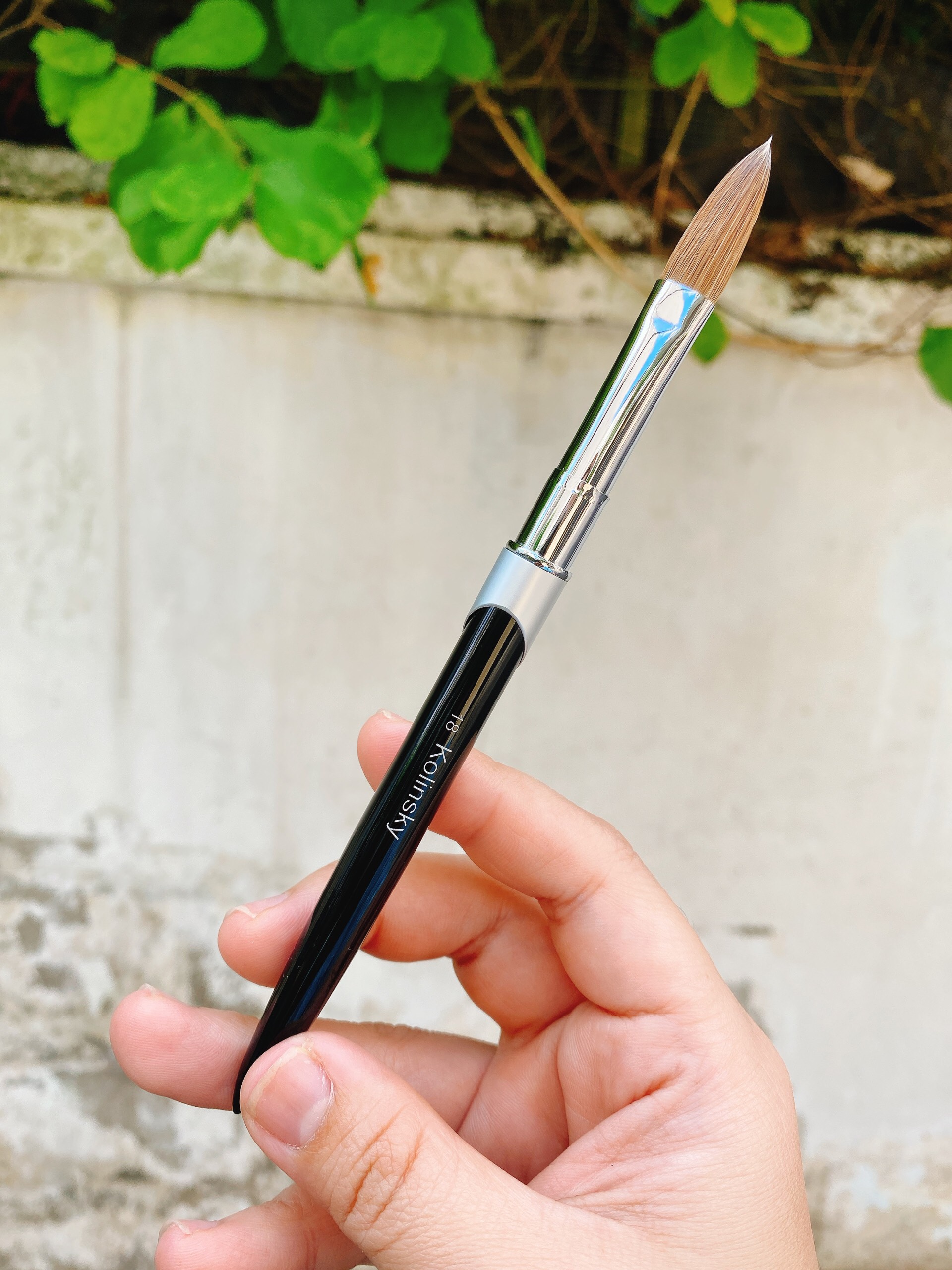 Cọ đắp bột lông chồn số 18 Kolinsky chính hãng cao cấp 1146