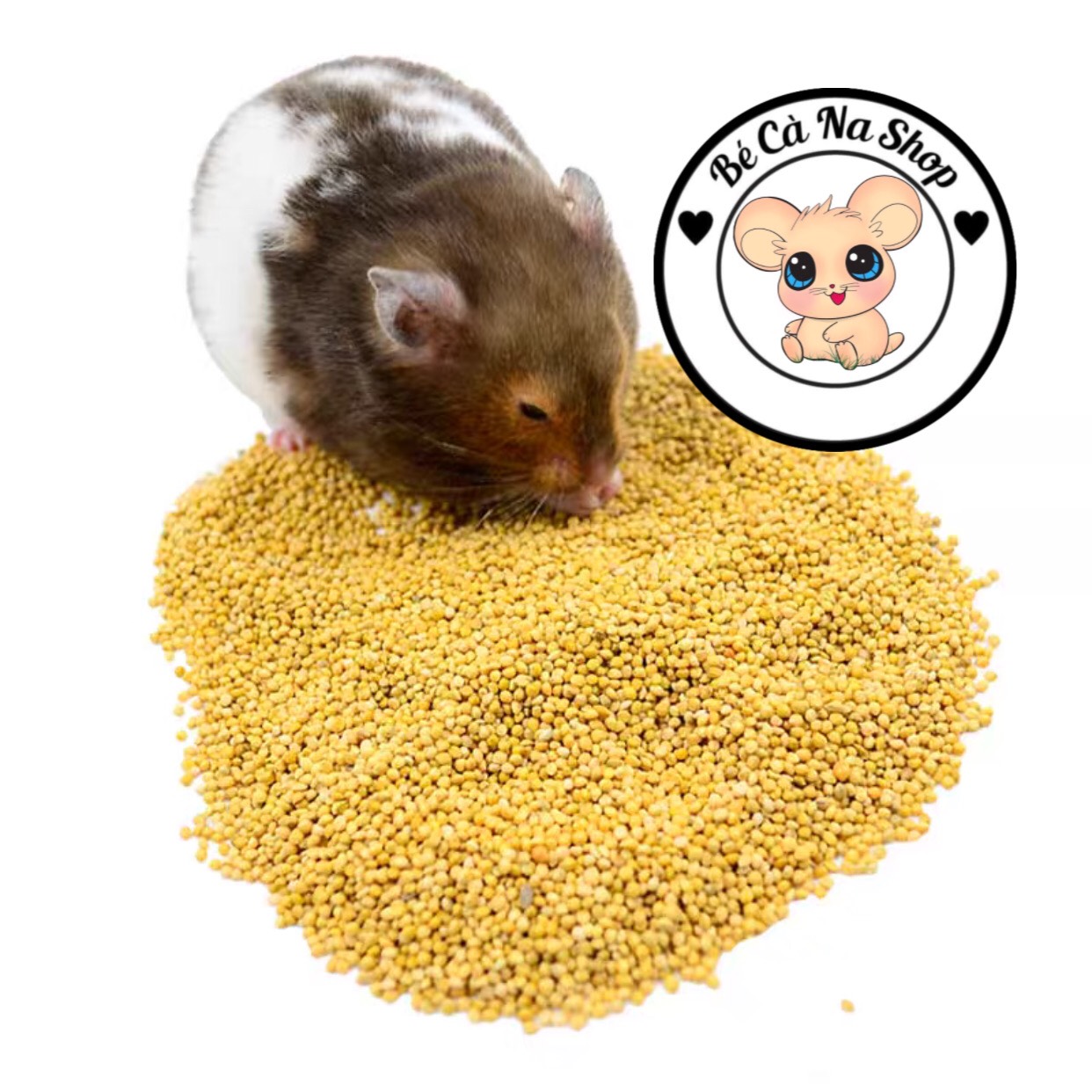 hạt kê cho hamster