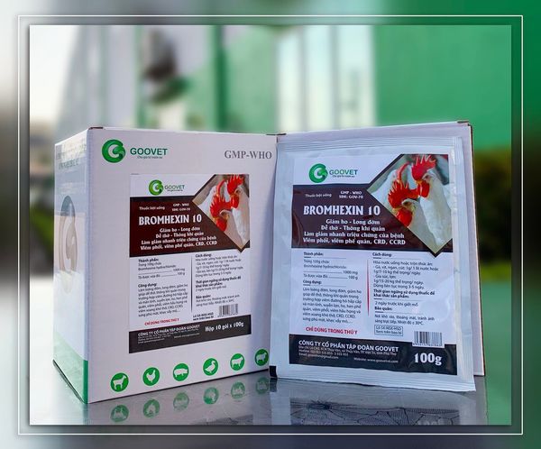 GIẢM HO LONG ĐỜM BROMHEXIM 10