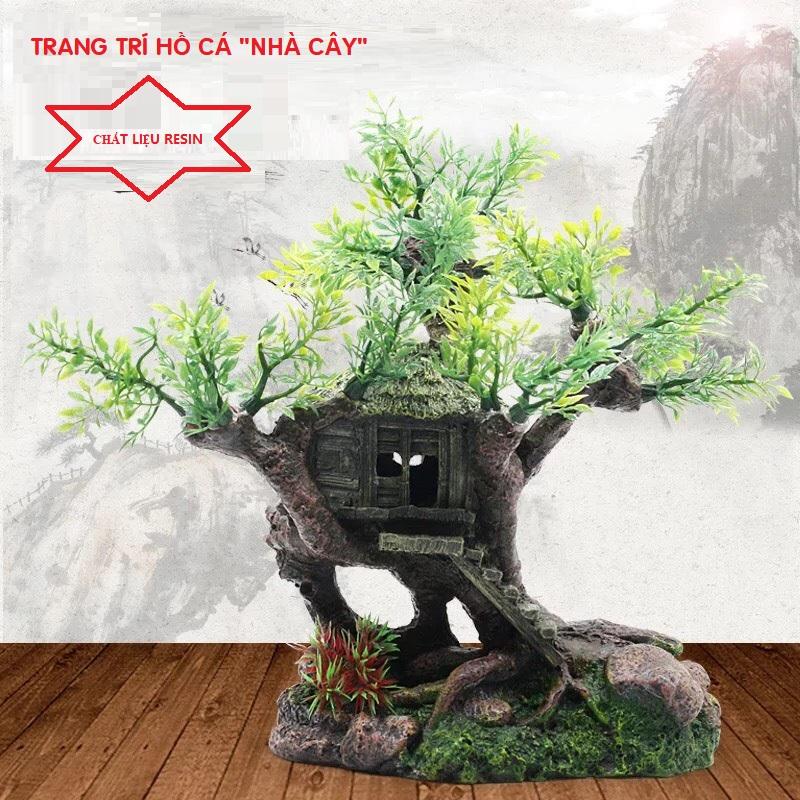 Trang trí thuỷ sinh , hồ cá “nhà cây”