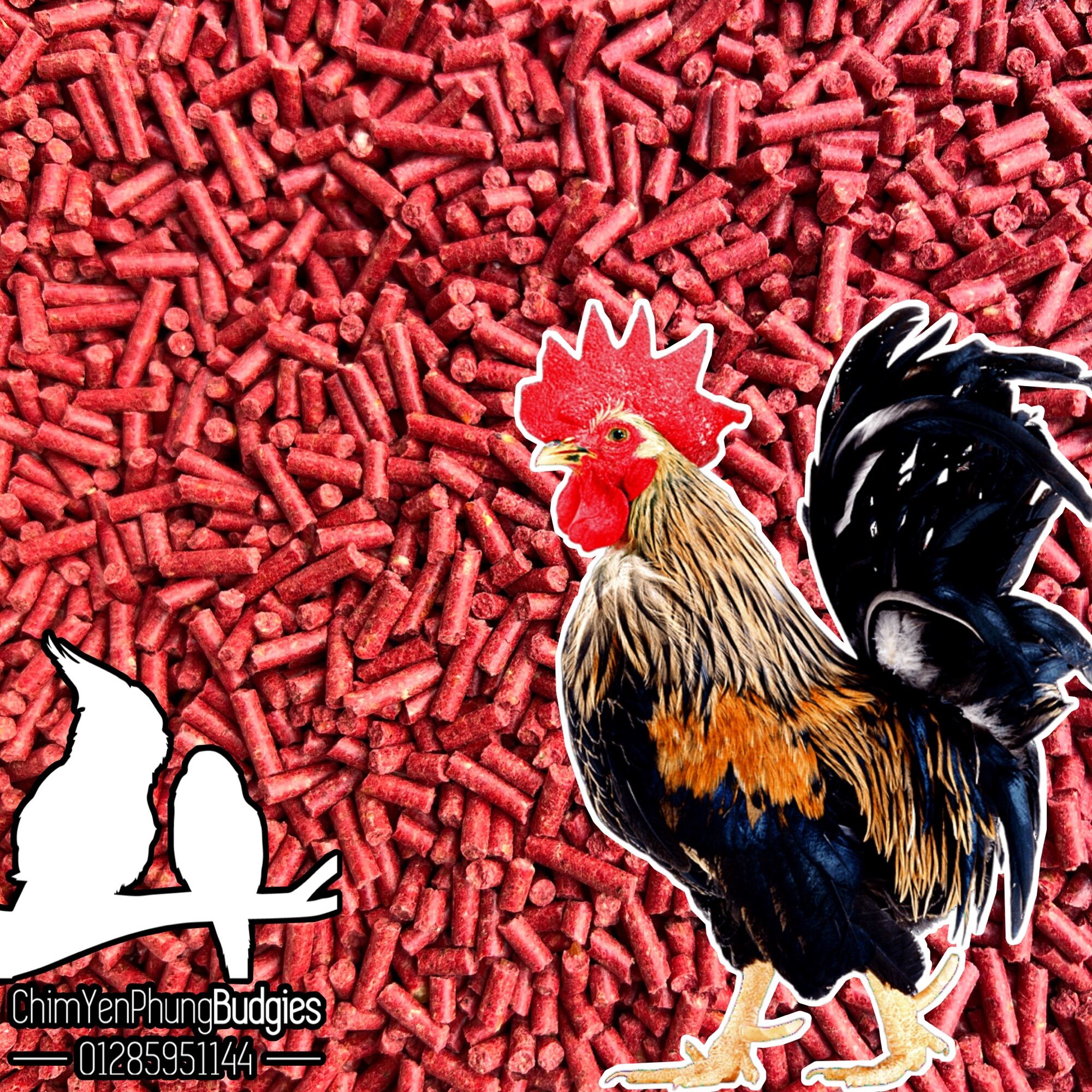 2kg Cám Bò (Cám Đạm) cho Chiến Kê, giúp gà sung mãn, tăng độ bền.