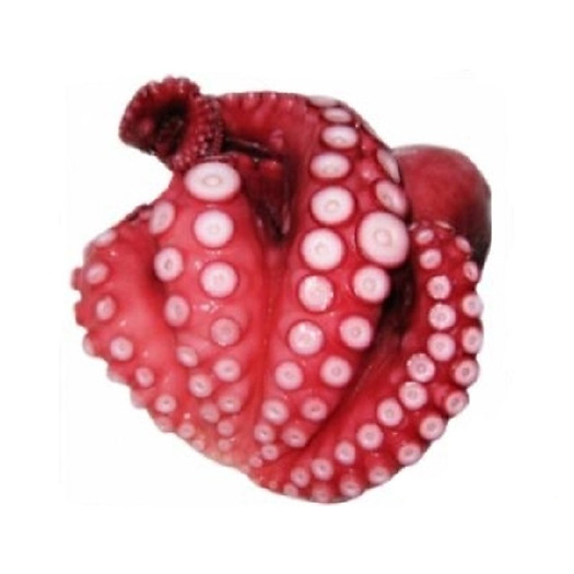 Râu Bạch Tuộc 500gr