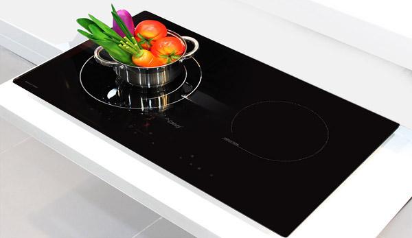 Bếp từ đôi Canzy Cz 500-2ID