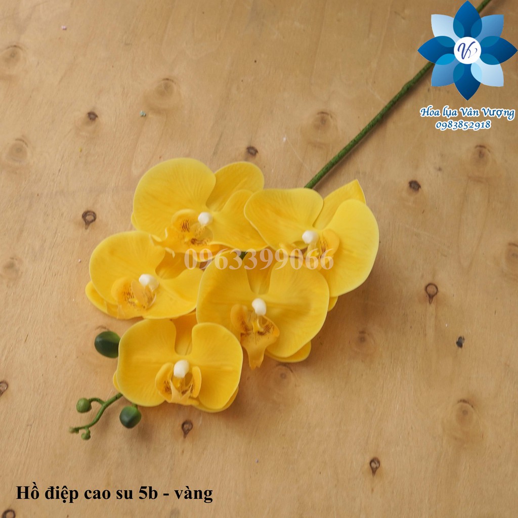 Hoa Lụa 🌺FREESHIP🌺 Lan Hồ Điệp Cao Su 5 Bông