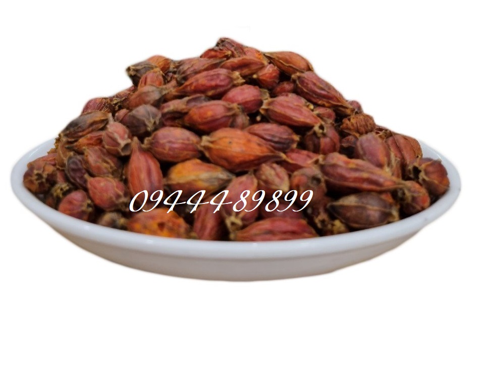 [Quà Tết 2022] 100g Hạt dành dành (chi tử)
