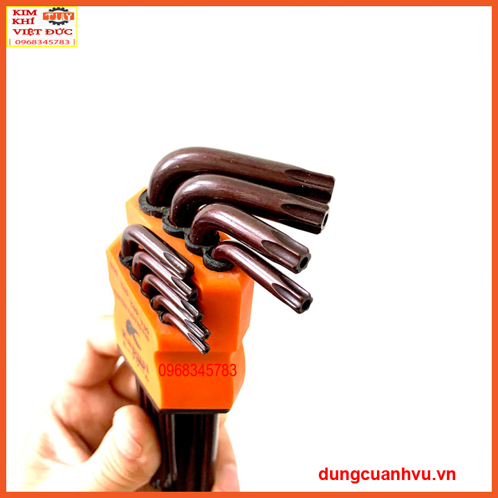 BỘ LỤC GIÁC HOA THỊ KAPUSI