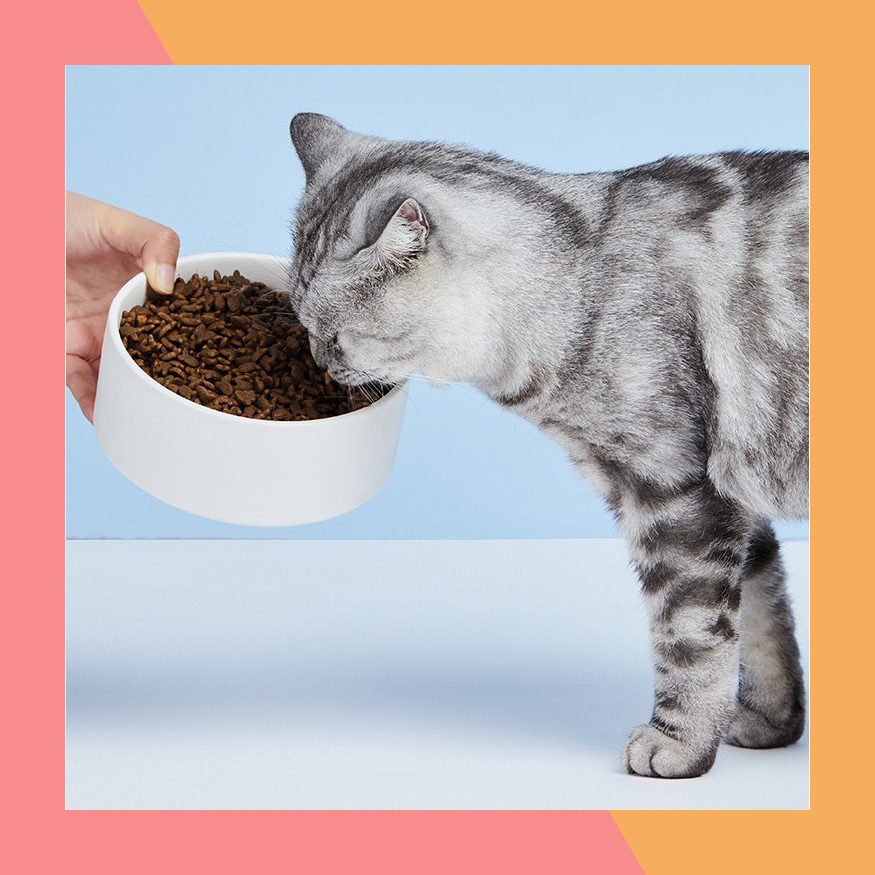 Hạt Cats Eye Thức ăn khô cho mèo túi 1Kg