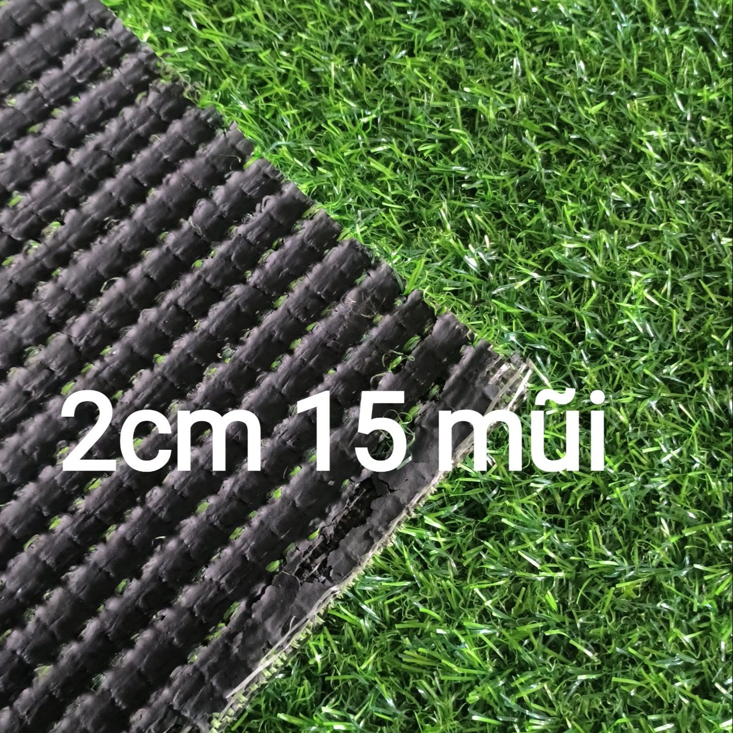 Thảm cỏ nhân tạo 2cm loại tốt (2cm 15 mũi, quý khách đọc kỹ mô tả)