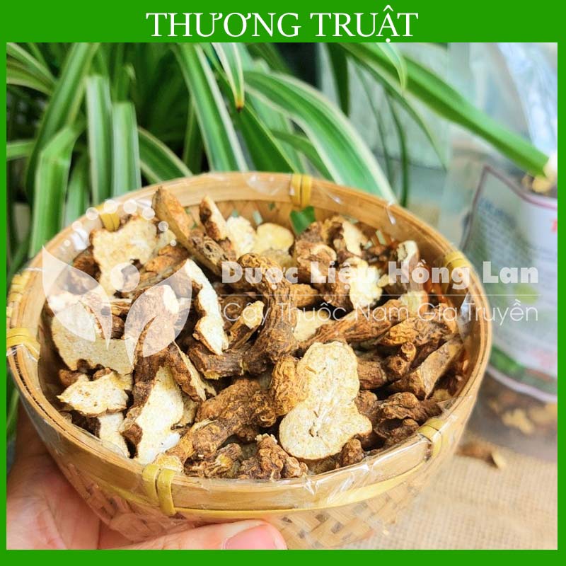 ✅[THƯỢNG HẠNG] 100g Thương Truật khô đẹp loại 1
