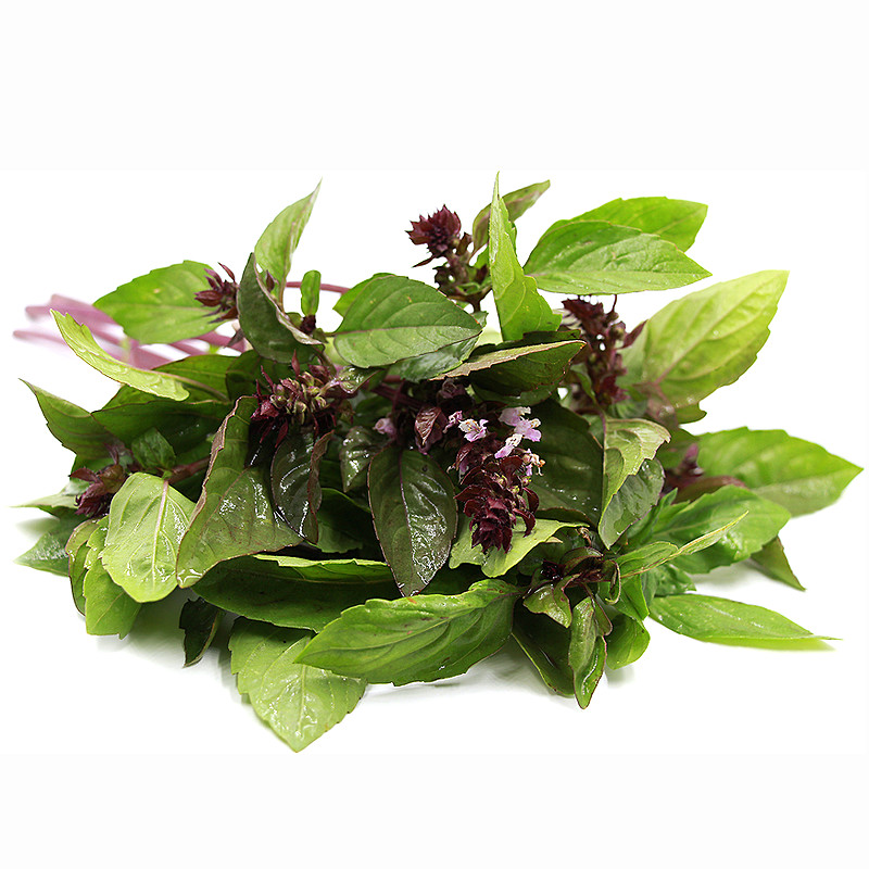 Hạt giống rau húng quế