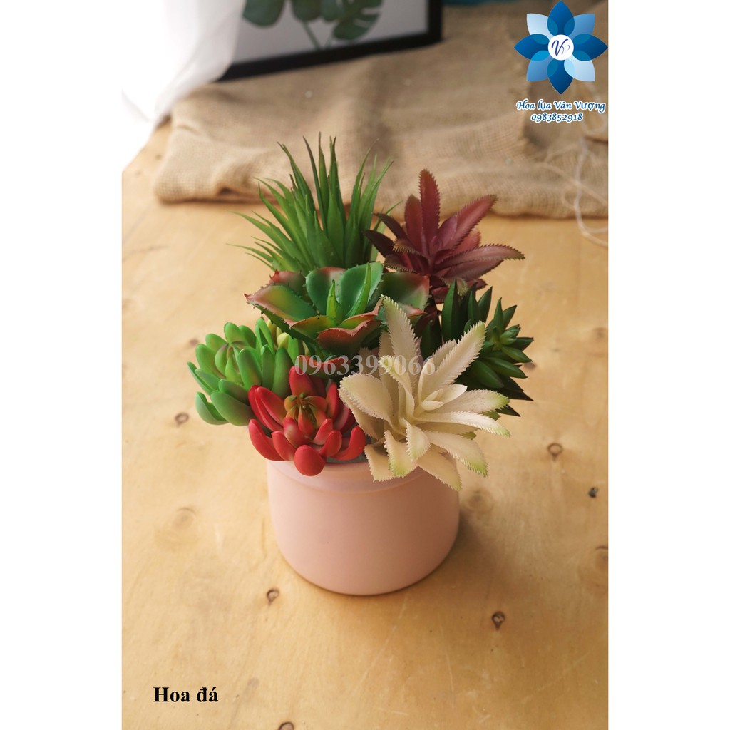 Hoa Đá Nhựa Hoa Sen Đá Giả Cỡ Nhỏ