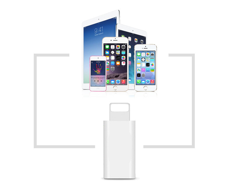 Đầu Chuyển Đổi Từ Type C sang Iphone (Lightning)