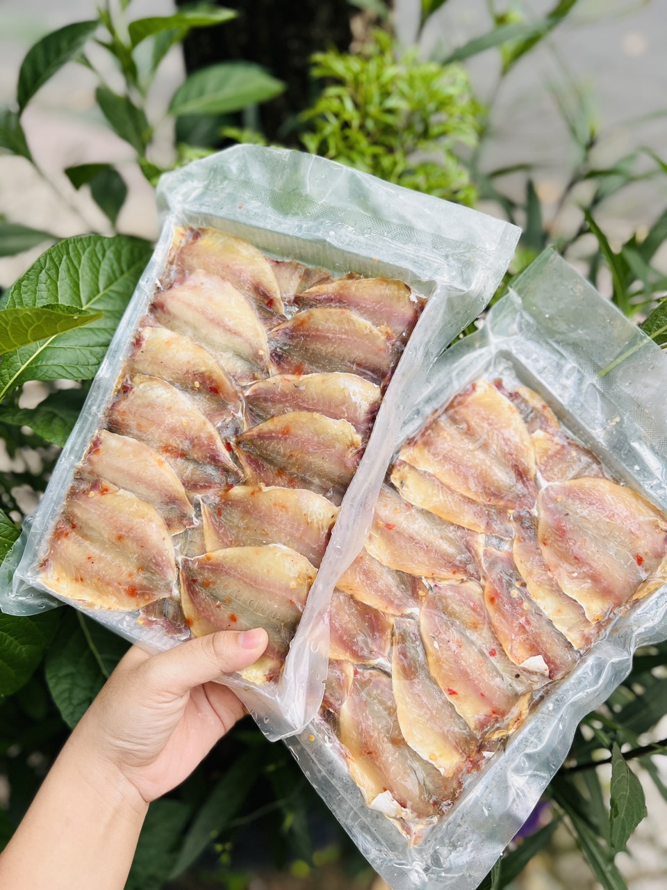 [GIAO NHANH 2H HCM] Giá Sỉ Cá Chỉ Vàng 2 Nắng