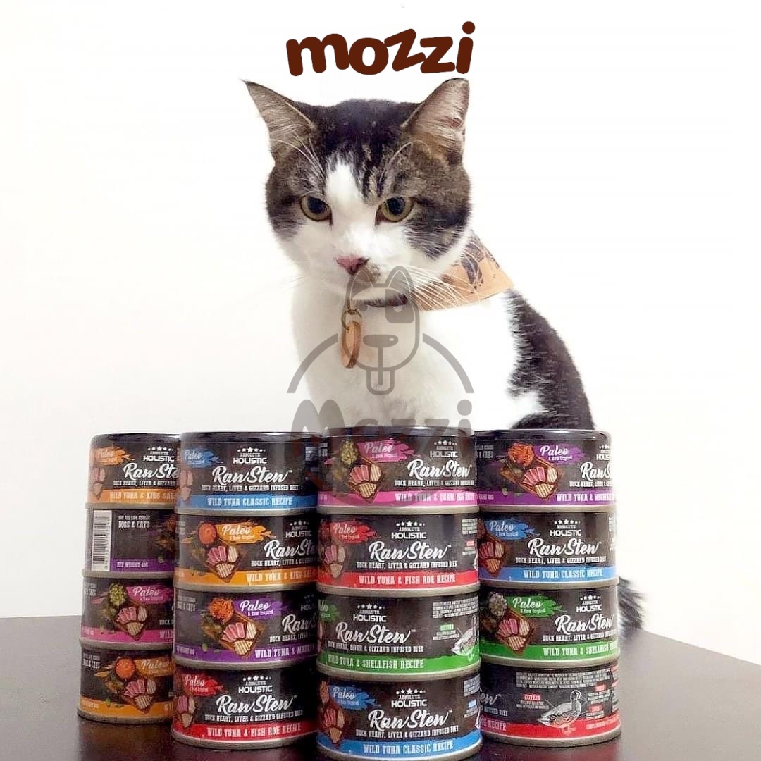 Pate cho chó mèo RawStew Absolute Holistic Lon 80gr