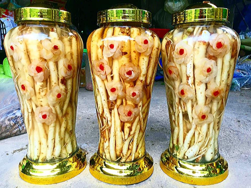 [HCM]Đẳng sâm - Sâm dây ngọc linh - LOẠI TƯƠI
