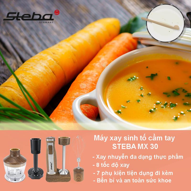 Máy xay đa năng cầm tay STEBA MX30