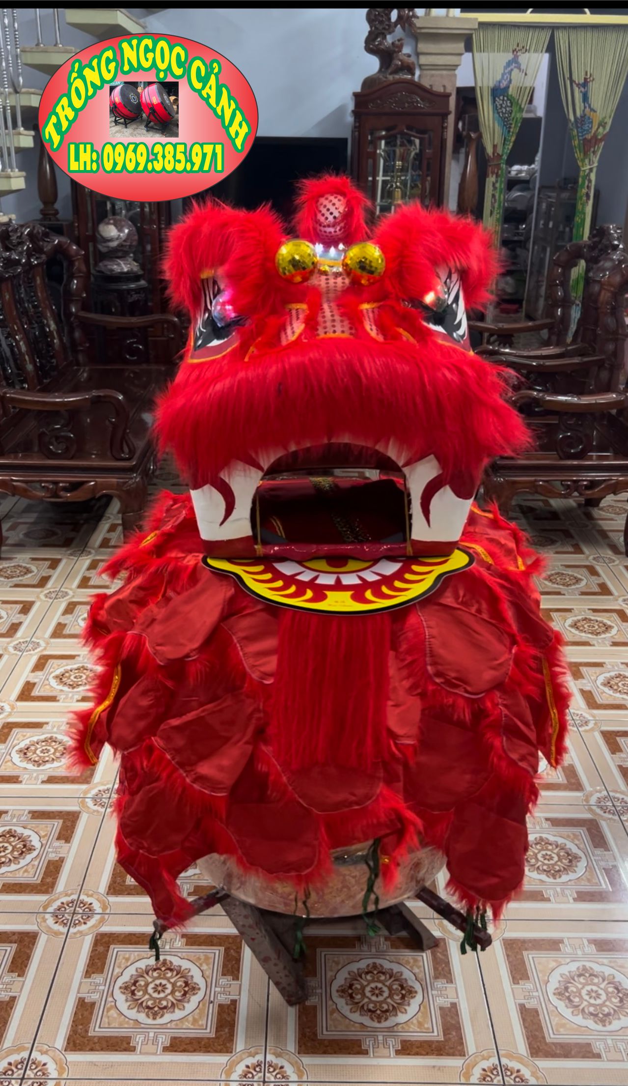 Lion head size 50cm
