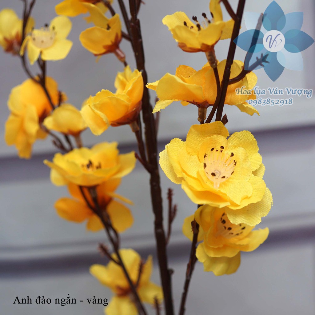 Hoa Lụa Cao Cấp, Hoa Giả Hoa Anh Đào