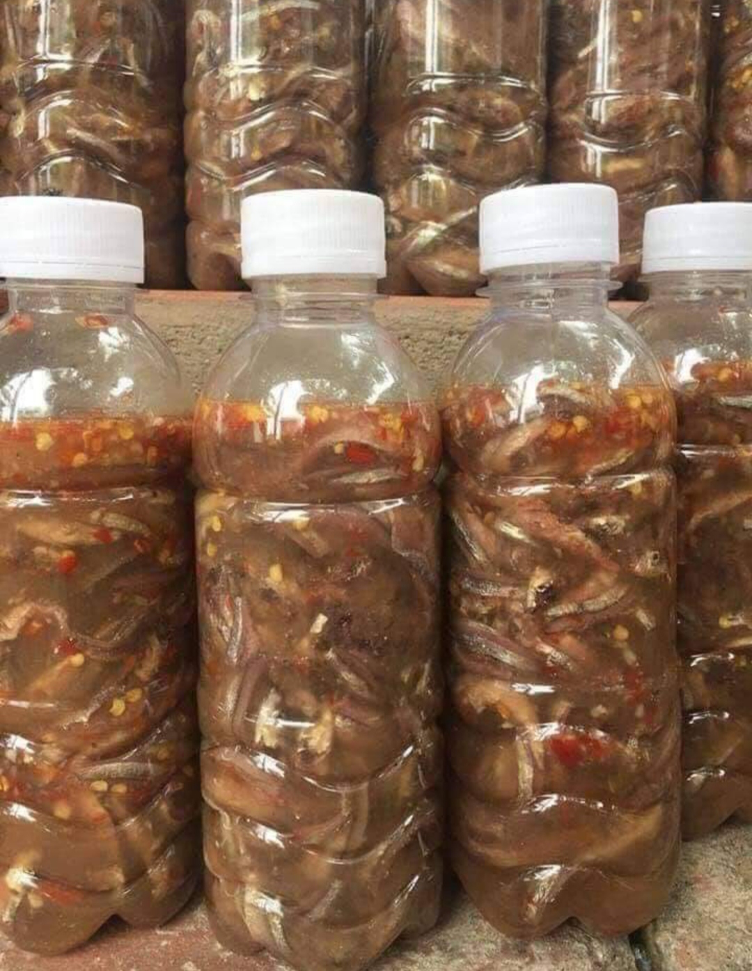 MẮM CÁ CƠM ĐỀ GI - ĐẶC SẢN BÌNH ĐỊNH 350Gr
