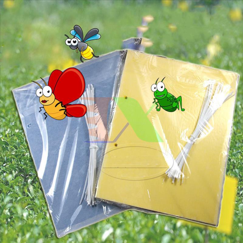 50 sheet adhesive tape sticky traps flies yellow kr-2015, plate sticky flies mosquito Bee, glue traps flies vinegar