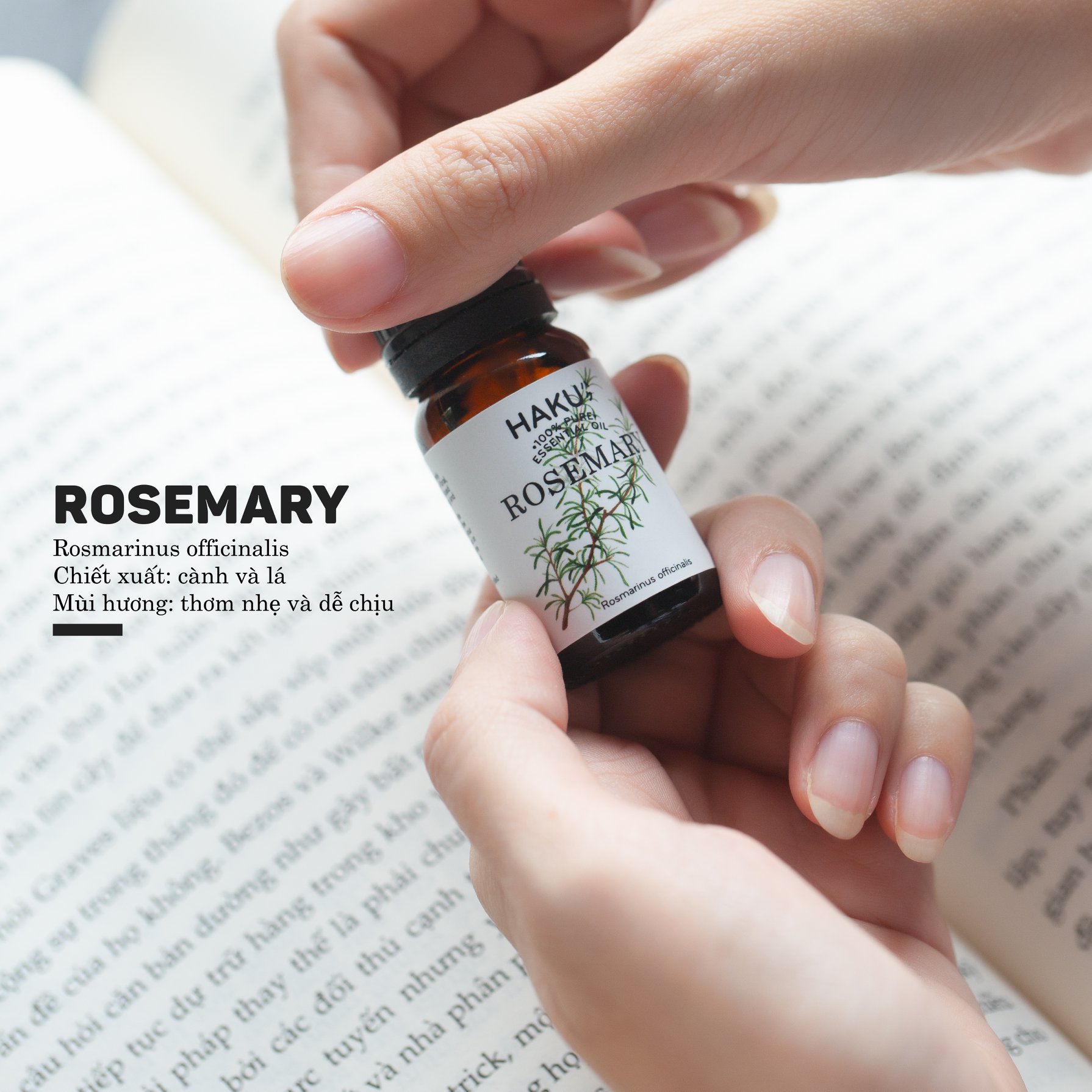 Rosemary Essential Oil