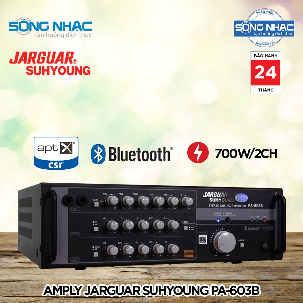 [HCM]Amply katoke JARGUAR SUHYOUNG PA 603B